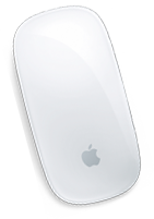 Souris